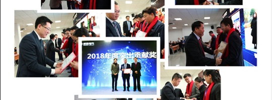 銳意進(jìn)取，創(chuàng)新發(fā)展—威勝電氣2018年度總結(jié)表彰大會圓滿結(jié)束