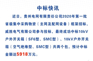 威勝電氣中標(biāo)貴州電網(wǎng)5918萬元