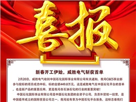 新春開工伊始，威勝電氣斬獲首單