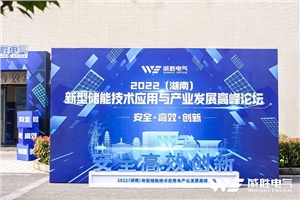 “2022（湖南）新型儲能技術(shù)應(yīng)用與產(chǎn)業(yè)發(fā)展高峰論壇”圓滿召開