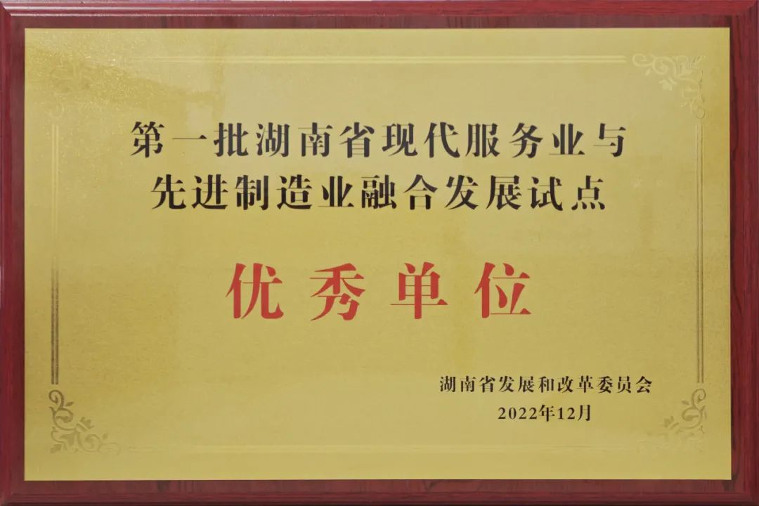 湖南省第一批優(yōu)秀試點(diǎn)單位！威勝能源兩業(yè)融合工作再獲殊榮！